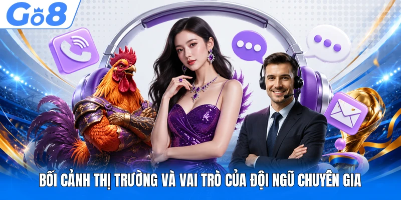 Bối cảnh thị trường và vai trò của đội ngũ chuyên gia